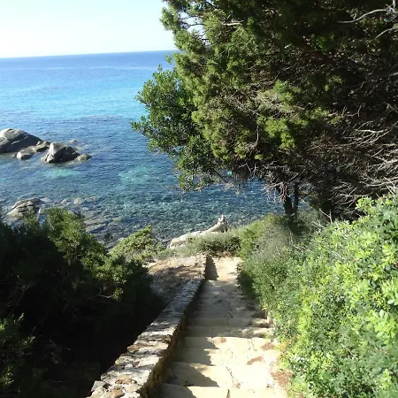 Dell'arte Vista Mare